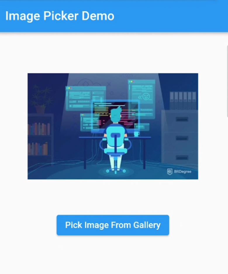 Pick image from gallery and camera in flutter