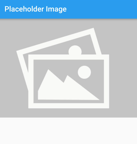 Placeholder in Flutter