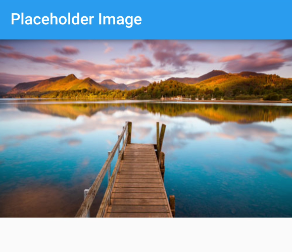 Show placeholder while Network image is loading in Flutter