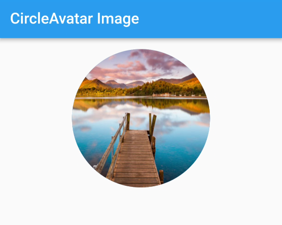 Network Image in Circle Avatar