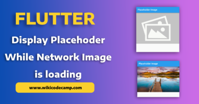 flutter placeholder